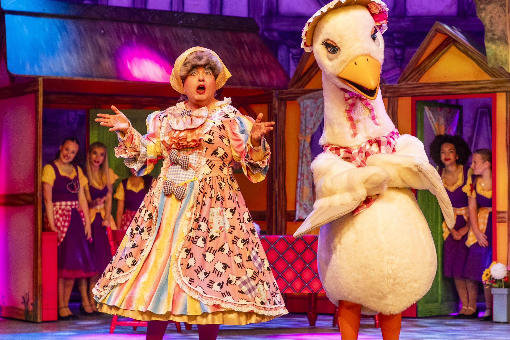 Mother Goose At Theatre Royal Winchester Theatre Art And Film Reviews mother-goose-at-theatre-royal-winchester-theatre-art-and-film-reviews